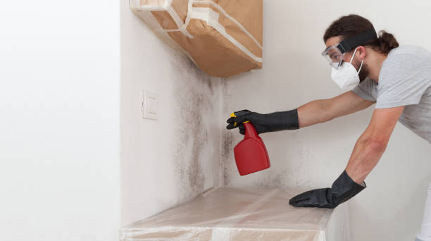 Professional Mold Cleanup technician working in Woodsboro, TX