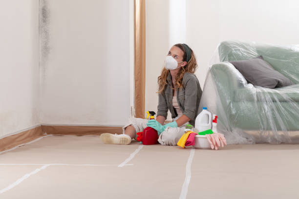 Reliable Mold Cleanup contractor in Woodsboro, TX by WQB Mold Removal